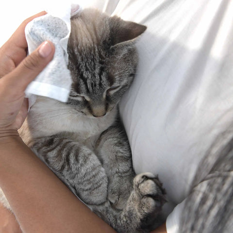 Pet Wipes Unscented-1 unit